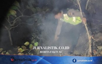 Kebakaran Hutan Pinus Sadang Kebumen Padam Sesaat, Kobaran Kembali Berkobar; Penyebab Masih Diselidiki Polisi