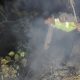 Kebakaran Hutan Pinus Sadang Kebumen Padam Sesaat, Kobaran Kembali Berkobar; Penyebab Masih Diselidiki Polisi