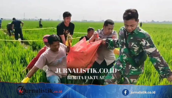 Kronologi Temuan Perangkat Desa Pekalongan Tewas di Sawah: Pelaku Dibekuk Polisi dalam Hitungan Jam