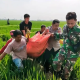 Kronologi Temuan Perangkat Desa Pekalongan Tewas di Sawah: Pelaku Dibekuk Polisi dalam Hitungan Jam