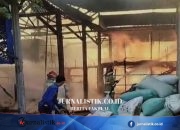 40.000 Anak Ayam di Magetan Hangus dalam Kebakaran Kandang, Api Diduga dari Tungku Pemanas
