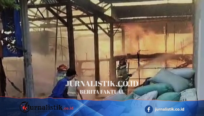 40.000 Anak Ayam di Magetan Hangus dalam Kebakaran Kandang, Api Diduga dari Tungku Pemanas