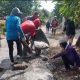 Kesabaran Warga Pati Habis, Puluhan Orang Patungan Rp 16 Juta Tambal Jalan Rusak