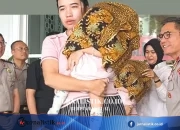 Polda Jambi Disebut Melepas Ayah yang Diduga Menjual Bayi Rp 20 Juta