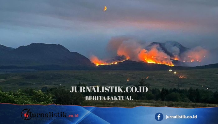 Tak ada helikopter untuk padam kebakaran hutan Wales, rencana tanggap krisis diaktifkan