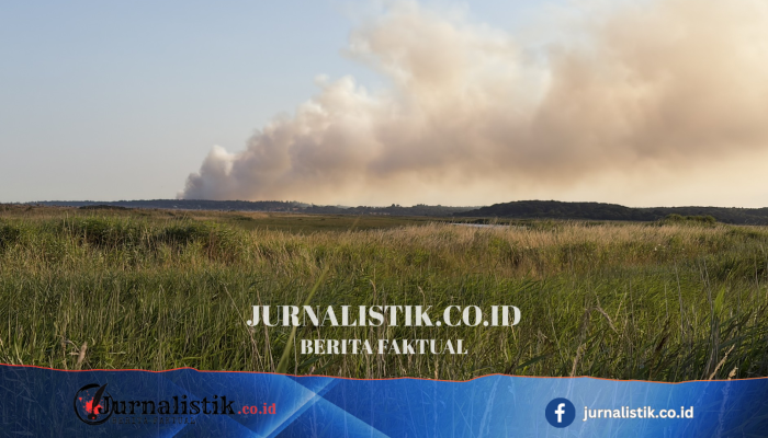 Regu tangani kebakaran besar di Dunwich Heath, Suffolk, melibatkan 17 tim