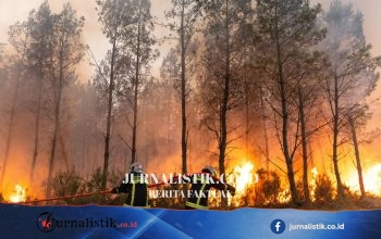 Kebakaran hutan Prancis dan Spanyol: Saksi menyebut “wall of flames” dan melaporkan ketakutan serta tekanan