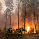 Kebakaran hutan Prancis dan Spanyol: Saksi menyebut “wall of flames” dan melaporkan ketakutan serta tekanan