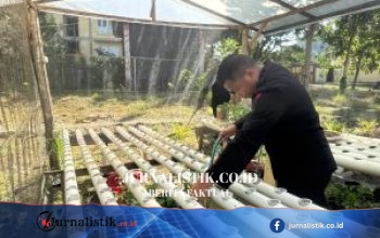 Satbrimob Polda Gorontalo Cek Bibit KRPL untuk Dukung Ketahanan Pangan Nasional (11/7/2026)