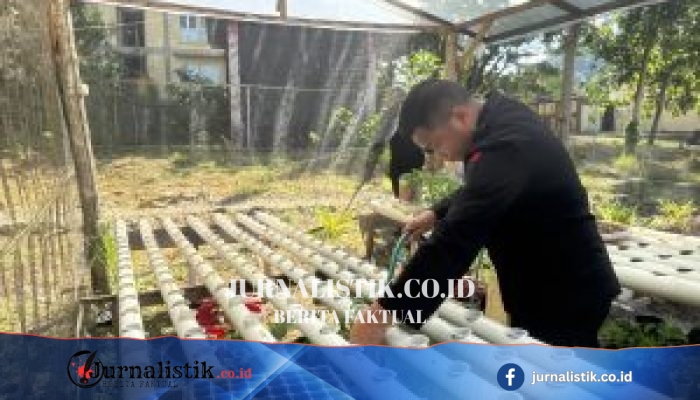 Satbrimob Polda Gorontalo Cek Bibit KRPL untuk Dukung Ketahanan Pangan Nasional (11/7/2026)