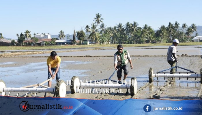 Gusnar Ismail Dicanangkan GERTAM Padi PM-AAS Serentak Virtual di Desa Pilolohayanga Barat