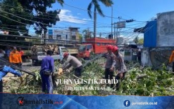 Dit Samapta Polda Gorontalo Sigap Evakuasi 3 Pohon Tumbang di Kota Gorontalo