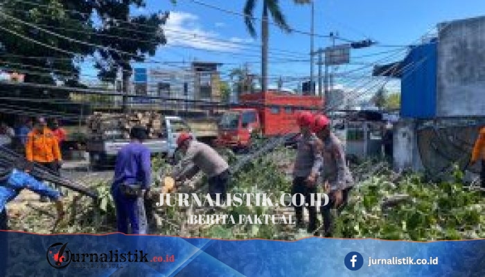 Dit Samapta Polda Gorontalo Sigap Evakuasi 3 Pohon Tumbang di Kota Gorontalo