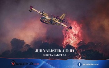 Kebakaran Hutan Jadi “peringatan tegas” soal tantangan iklim ekstrem—William