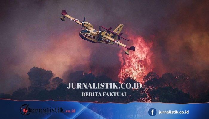 Kebakaran Hutan Jadi “peringatan tegas” soal tantangan iklim ekstrem—William