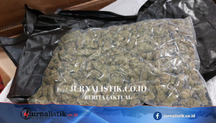 Penindakan lebih keras bagi kurir “drug mules” yang membanjiri utara Inggris