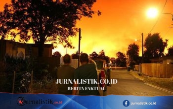 Kabur dari “dinding” api: Turis ceritakan pelarian saat kebakaran hutan di Prancis