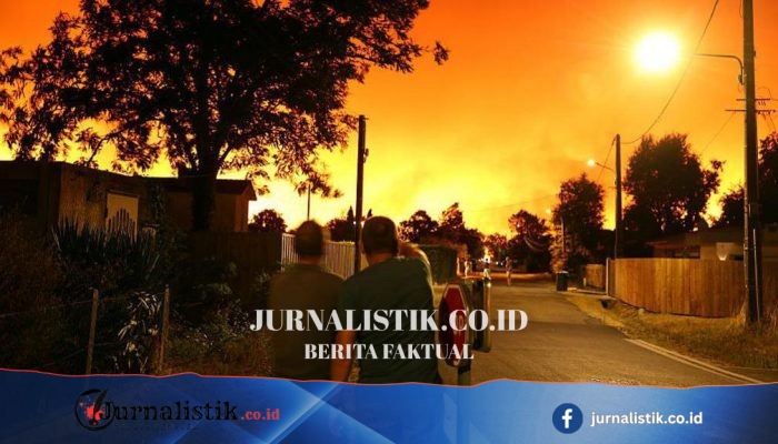 Kabur dari “dinding” api: Turis ceritakan pelarian saat kebakaran hutan di Prancis