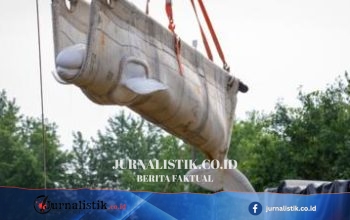 Beluga dipindahkan dari Marineland Kanada: 6 ekor tiba di AS dan menempati rumah baru