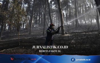 Kebakaran hutan di Yunani dekat Tesalonika: dua tewas saat pemadam berjuang memadamkan api