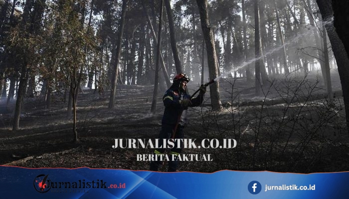 Kebakaran hutan di Yunani dekat Tesalonika: dua tewas saat pemadam berjuang memadamkan api