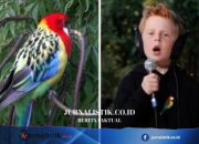 Eastern Rosellas! Lagu Viral Anak 7 Tahun dari Sydney, Miles Phillips Ungkap Inspirasi di Raymond Island