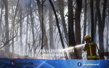 Kebakaran hutan di Spanyol menewaskan 12 orang, gelombang panas masih melanda Eropa selatan