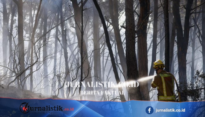 Kebakaran hutan di Spanyol menewaskan 12 orang, gelombang panas masih melanda Eropa selatan
