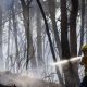 Kebakaran hutan di Spanyol menewaskan 12 orang, gelombang panas masih melanda Eropa selatan