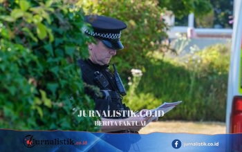 Penyelidikan Pembunuhan Ann Widdecombe: Update yang Terungkap