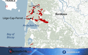 Kebakaran hutan dekat Bordeaux: Pemadam berupaya menahan api saat puluhan ribu warga dievakuasi