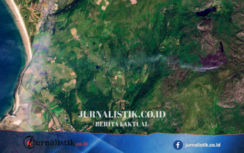 Kebakaran hutan Rhinogydd terpantau dari satelit; helikopter diterjunkan untuk memadamkan