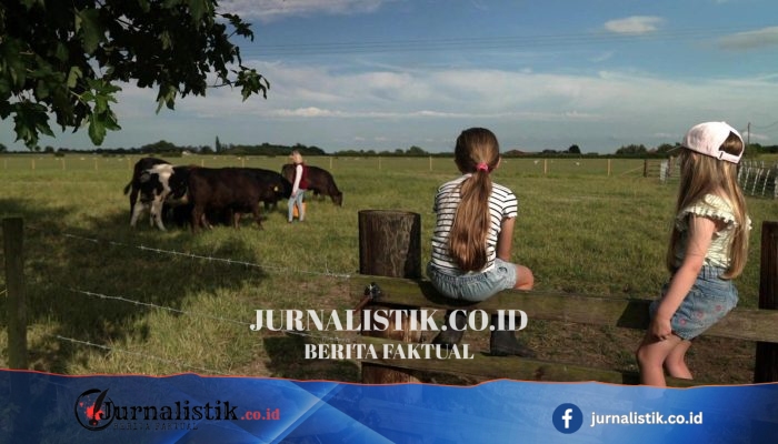 Musim panas ini, burger makin mahal—petani mengaku tak menikmati kenaikannya