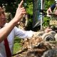 John Healey Di bawah Tekanan untuk Membuktikan Dukungan bagi Angkatan Bersenjata