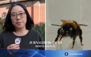 Apakah Lebah Punya Perasaan? Penelitian Menguak “inner life” pada Lebah