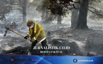 ‘apocalyptic’ di Cairngorms: kebakaran hutan dua pekan hanguskan 25 km² lahan dekat Aviemore