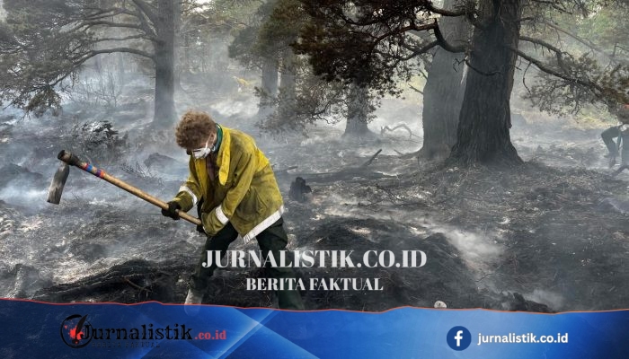 ‘apocalyptic’ di Cairngorms: kebakaran hutan dua pekan hanguskan 25 km² lahan dekat Aviemore