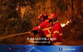 Purbaya Yudhi: Pemerintah Tindak Lanjuti 11 Temuan BPK di LKPP 2025