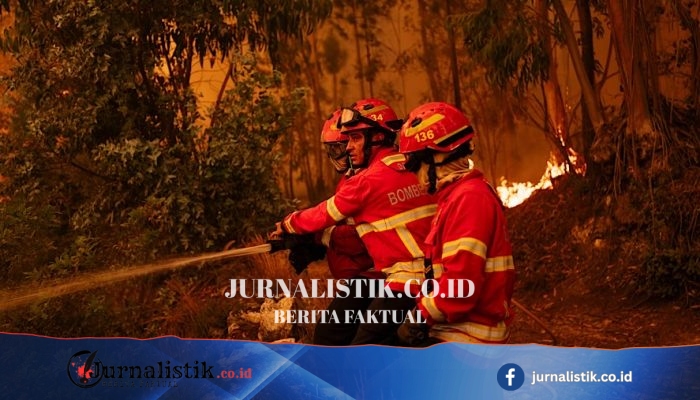 Eropa Siaga Kebakaran Hutan Setelah Gelombang Panas Rekor dan Curah Hujan Minim