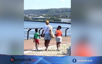 Pencari suaka yang ditampung di hotel turun separuh dalam setahun, menurut data