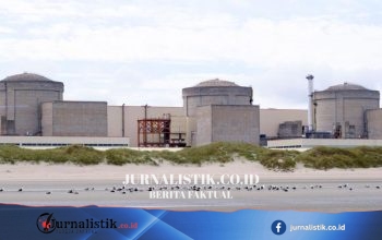Ubur-ubur Memicu Penghentian Parsial PLTN Gravelines di Prancis Utara, Tahun Kedua Berturut-turut
