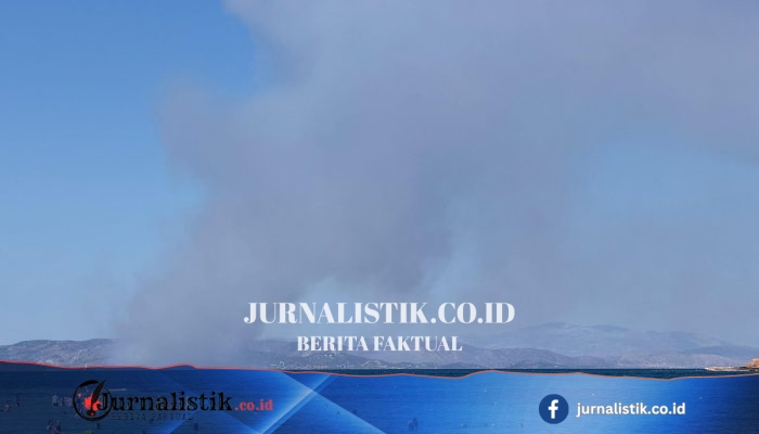 Dua orang tewas, ratusan dievakuasi saat kebakaran hutan melanda pulau dekat Athena