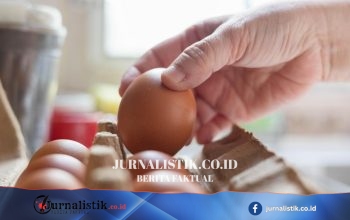 Wabah Salmonella: Ringkasan Temuan Awal
