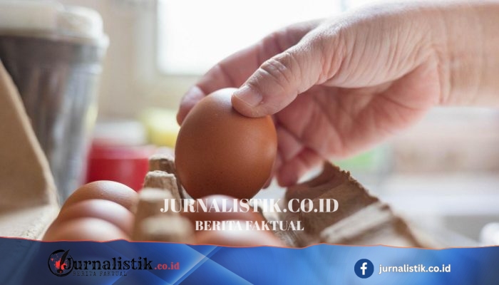 Wabah Salmonella: Ringkasan Temuan Awal