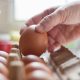 Wabah Salmonella: Ringkasan Temuan Awal