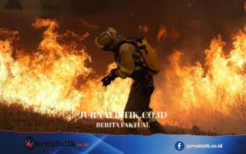 Australia Satukan Satelit, Drone, AI, dan Pengetahuan Adat untuk Memadamkan Kebakaran Hutan