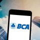 Pemegang Saham BBCA, Dividen Interim Rp25 per Lembar Cair September 2026