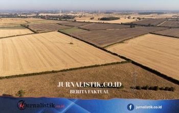 Kekeringan berisiko memicu kelangkaan sejumlah pangan, Ketua NFU Tom Bradshaw memperingatkan