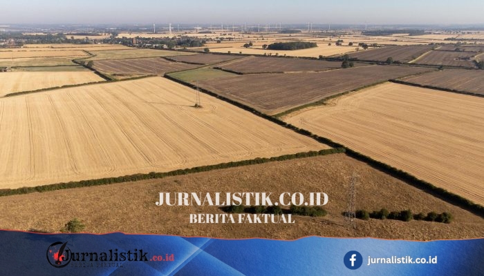 Kekeringan berisiko memicu kelangkaan sejumlah pangan, Ketua NFU Tom Bradshaw memperingatkan