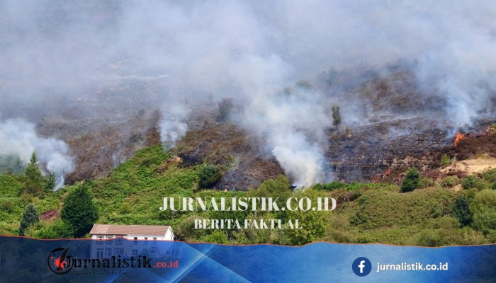 Ucapan duka untuk sutradara teater dan penulis drama Peter Gill, berkat pengaruh ‘quietly seismic’